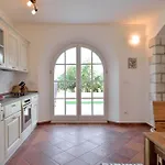 Maslinova Grana Tar-Vabriga