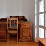 Maslinova Grana *