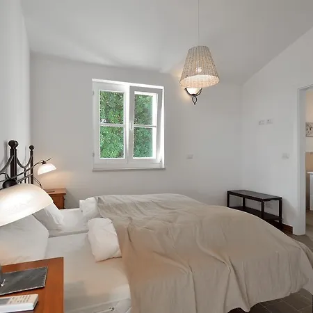 Maslinova Grana * Tar-Vabriga