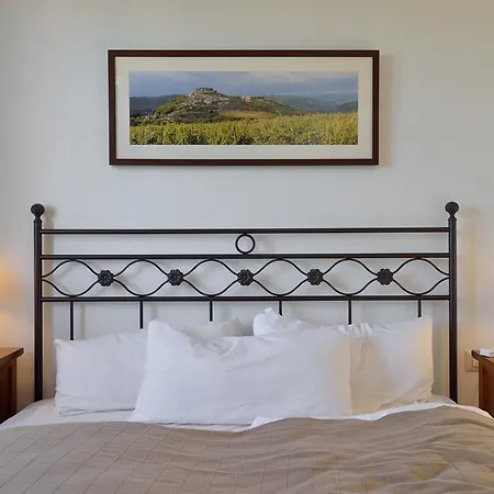 Maslinova Grana Villa Tar-Vabriga