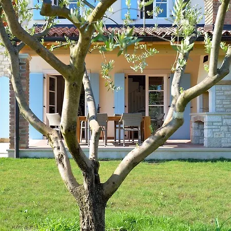 Maslinova Grana * Tar-Vabriga