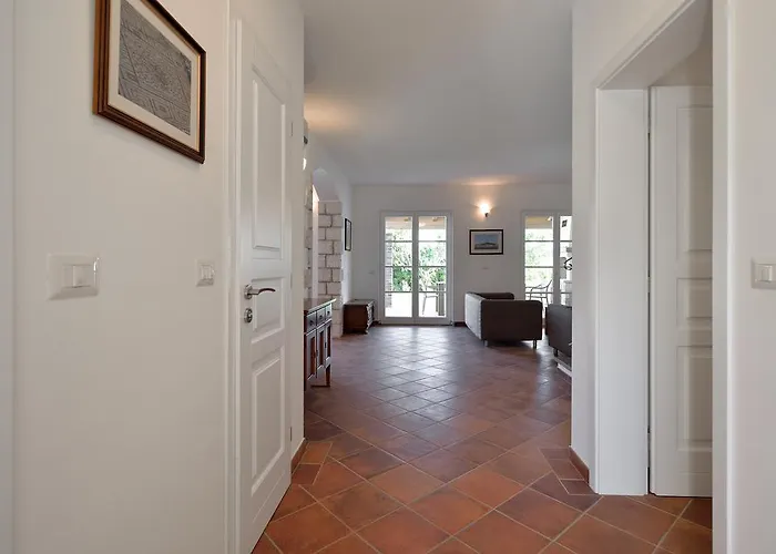 Maslinova Grana Tar-Vabriga