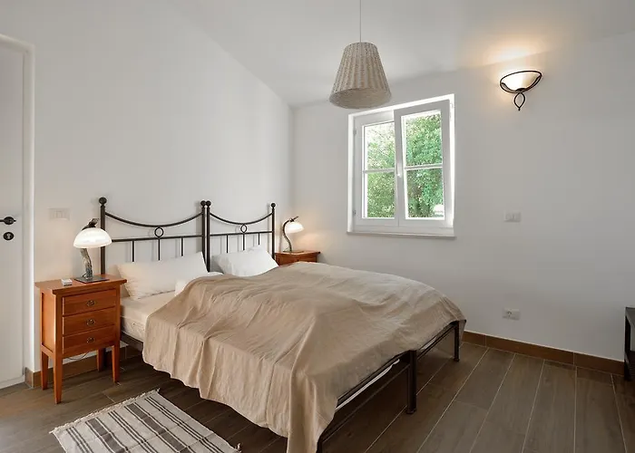 Maslinova Grana Villa