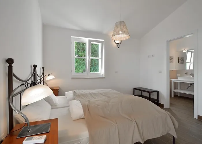 Maslinova Grana * Tar-Vabriga