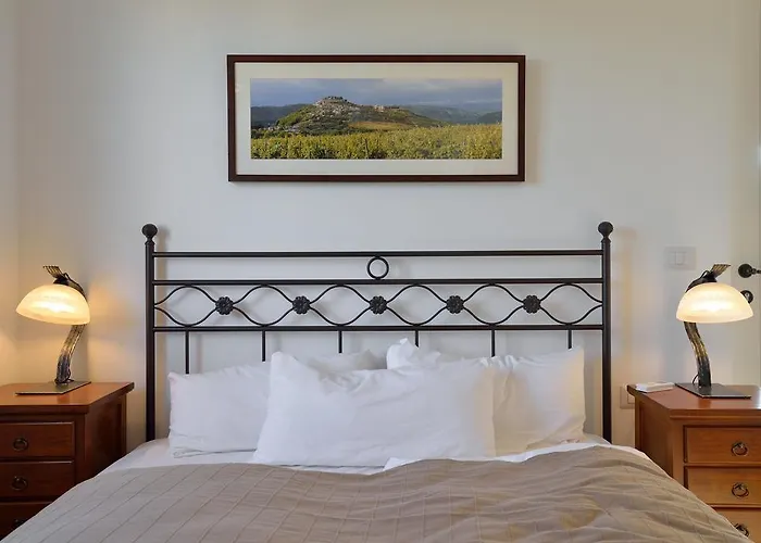 Maslinova Grana Villa Tar-Vabriga