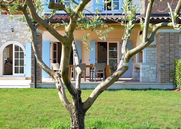 Maslinova Grana * Tar-Vabriga